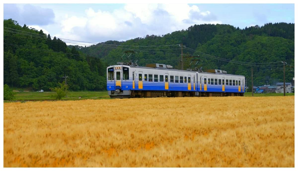 A blue and white train travels through a rural field with mountains and trees in the background under a cloudy sky.