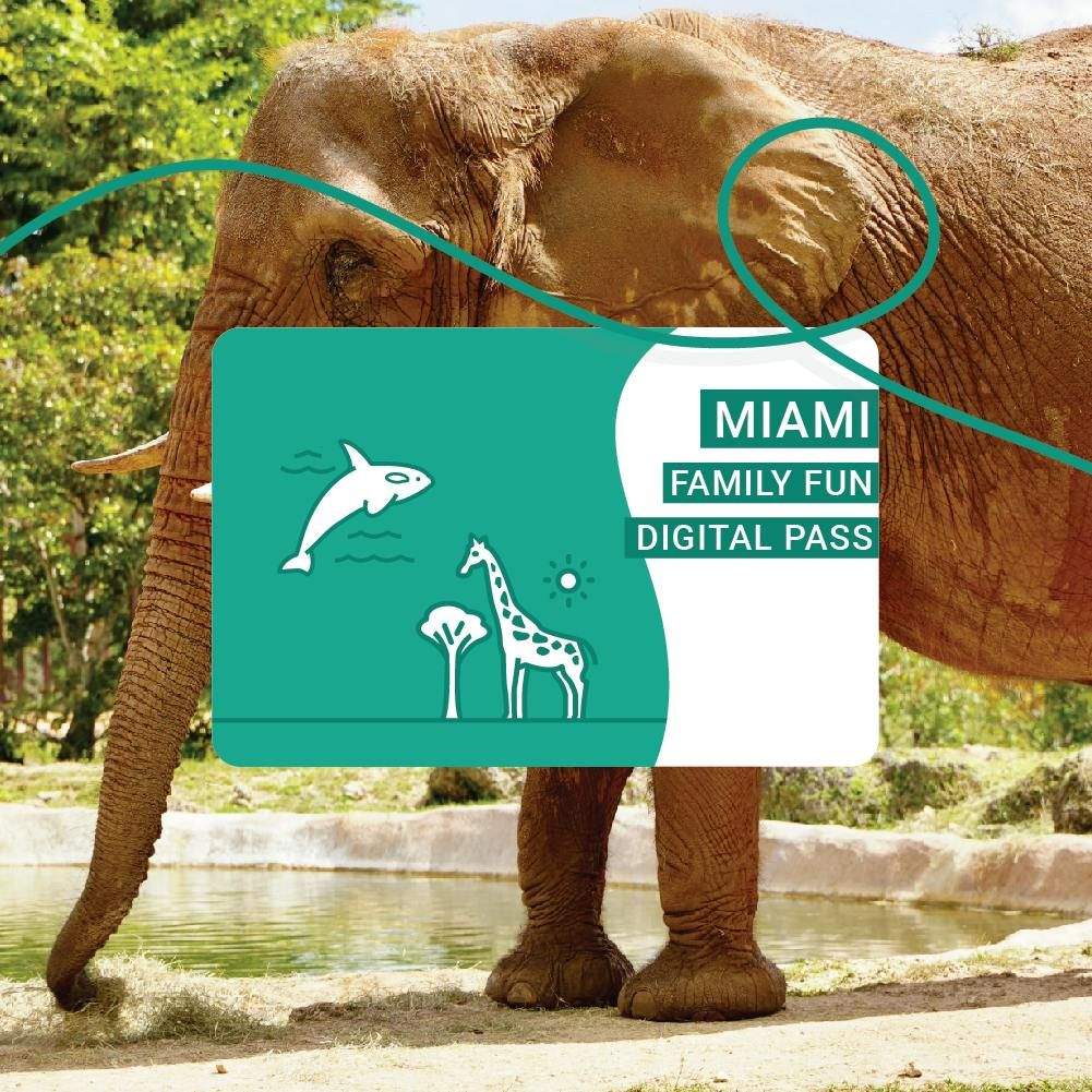 Miami Family Fun Package An elephant by a waterhole with a "Miami Family Fun Digital Pass" card overlay showing a dolphin and giraffes.