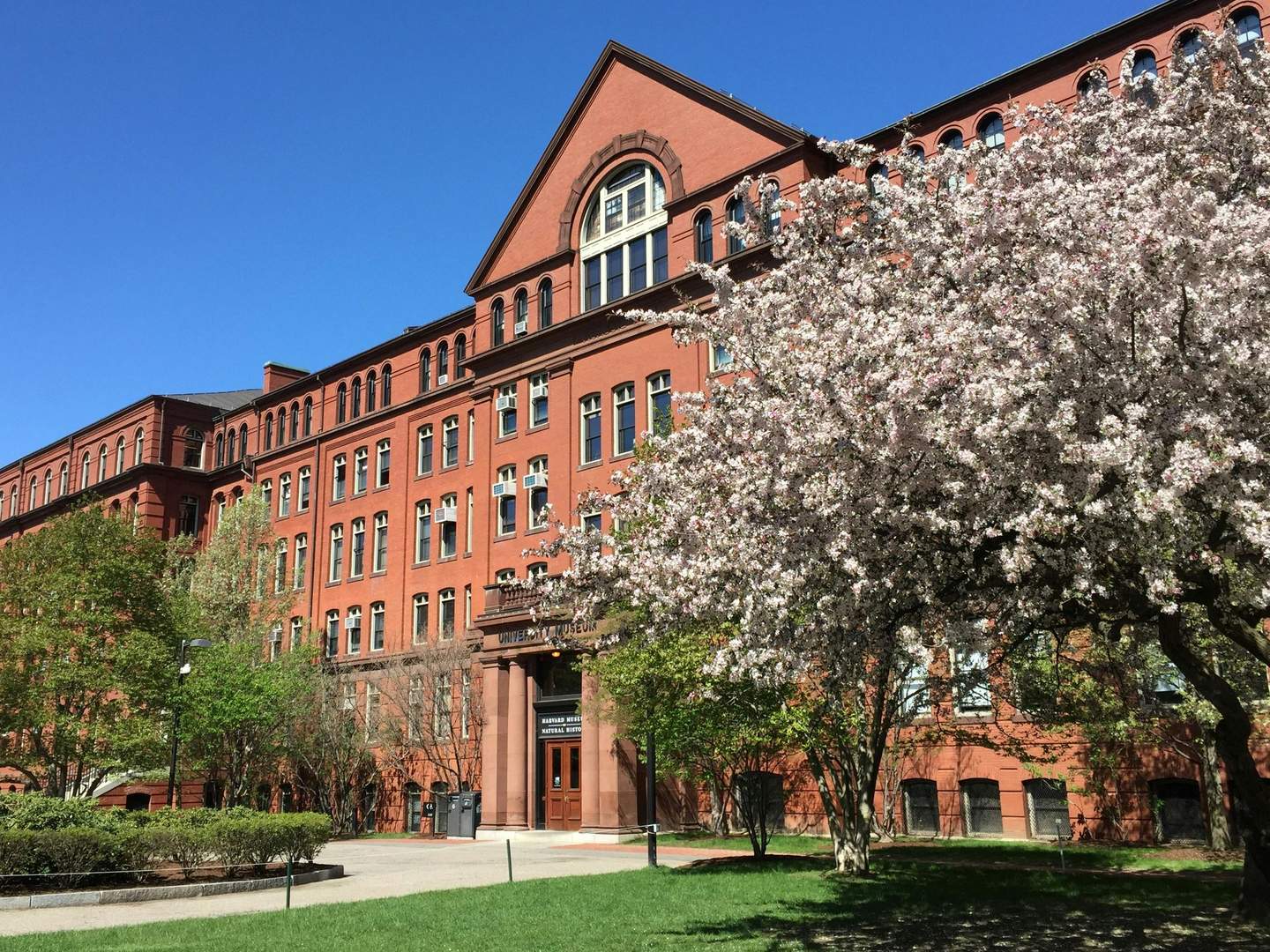 Red-brick building with arched windows and entrance, surrounded by flowering trees and greenery, under a clear blue sky.