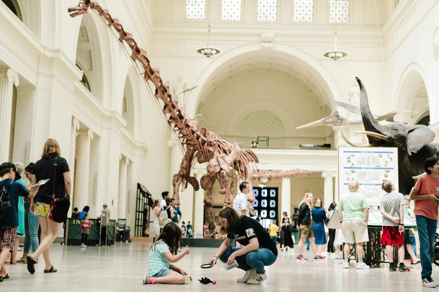 The Field Museum of Natural History City Cards & Passes (Chicago) People walk around a museum with dinosaur skeletons and an elephant exhibit. A woman kneels beside a child on the floor.