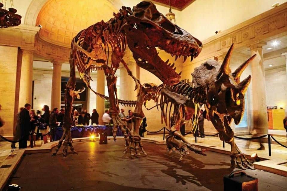 Natural History Museum of Los Angeles County City Cards & Passes (Los Angeles) The Dueling Dinos of NHM