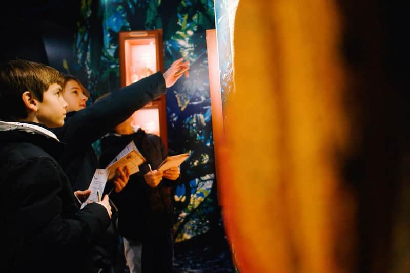 Three children in jackets look intently and point at an illuminated display, holding brochures in their hands.