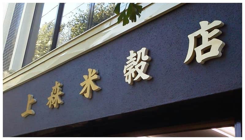 A building facade with gold-colored Chinese characters on a blue background, under a window with tree reflections.