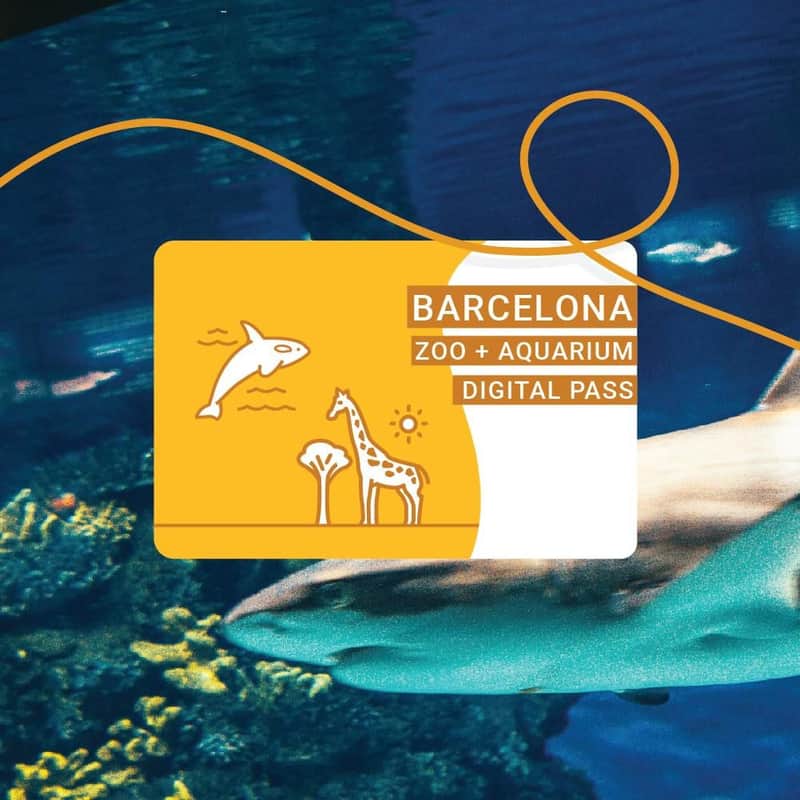 Pack Zoo de Barcelona i Aquàrium – L'Aquàrium de Barcelona i Parc Zoològic de Barcelona Un abonament digital per al Zoo i l'Aquàrium de Barcelona, amb un tauró nedant sota l'aigua al fons.