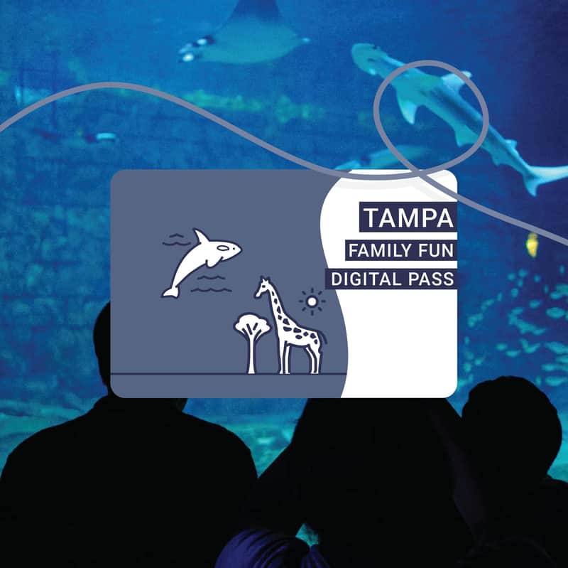 Silhouettes of people looking at an aquarium with a Tampa Family Fun Digital Pass graphic overlay featuring a dolphin and giraffe.