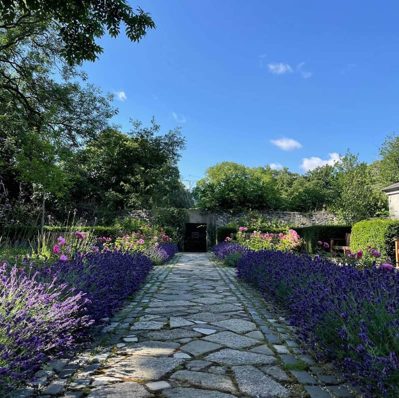 A stone path flanked by purple and pink flowers leads through a garden with lush greenery under a clear blue sky.