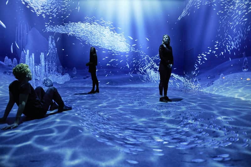 Three people in a dark, immersive room with projections of underwater scenes, including schools of fish and aquatic structures.