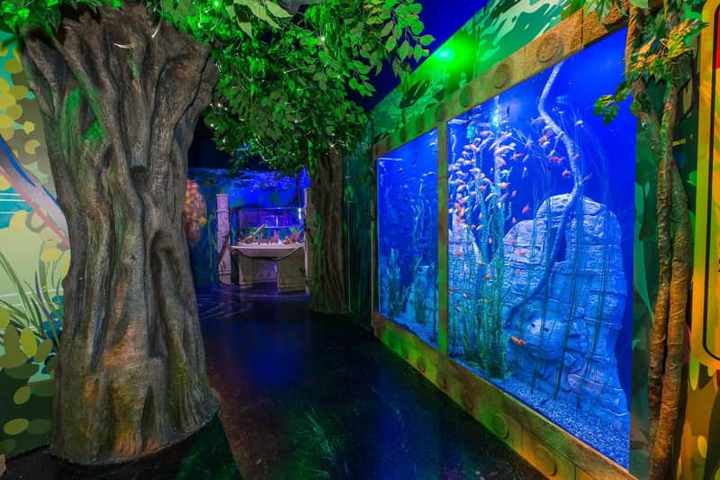 An indoor aquarium with large fish tanks, tree-like structures, lush green foliage, and vibrant lighting in a jungle-themed setting.