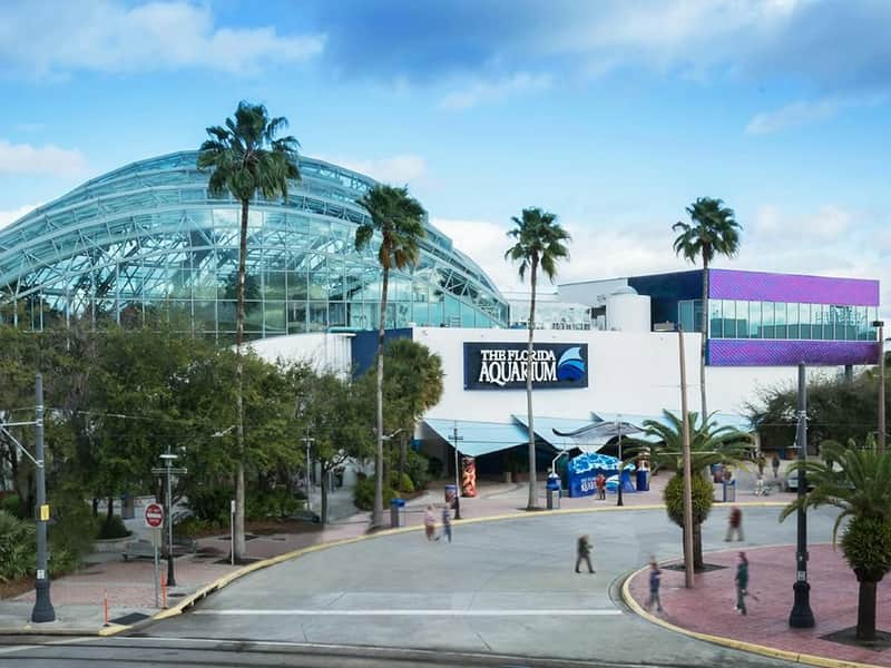 Exterior of The Florida Aquarium with a glass dome roof, palm trees, and a few people walking near the entrance.