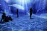 Three people in a dark, immersive room with projections of underwater scenes, including schools of fish and aquatic structures.