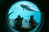 Three children watch a dolphin through a porthole window at an aquarium, one pointing while others lean on the window.