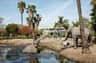 La Brea Tar Pits Lake Pit